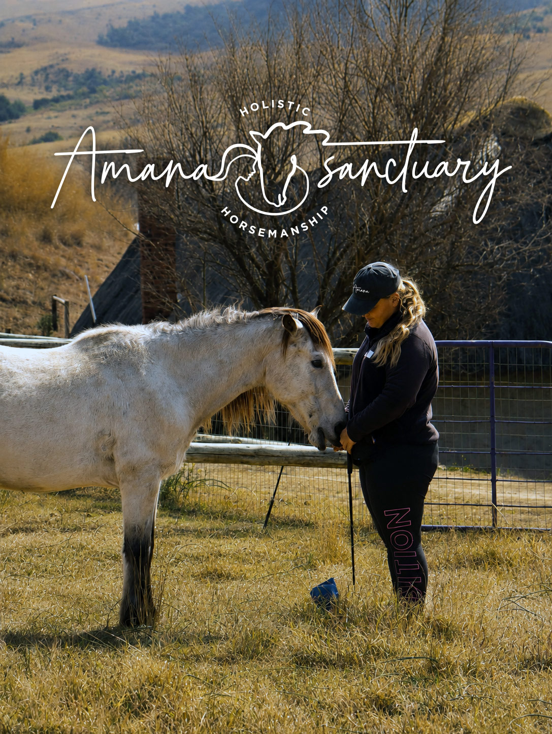Young adult learning with horses through the Amana Academy